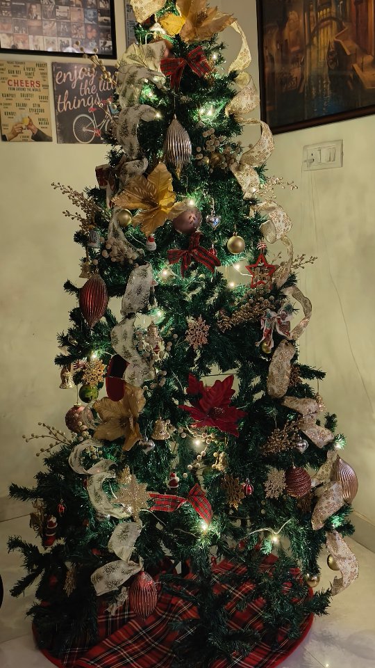 Welcoming the magic of Christmas into our homes and hearts. ♥️ 

What is it about a Christmas tree and the twinkling lights that accompany it that bring us such comfort and joy?  Is it the nostalgia of the excitement we felt as kids, preparing for Christmas with our parents, or the carols that sing of hope and good times or just the reminder that we'll all be together again, if the fates allow. But thank God it's Christmas, my favourite time of the year is here. 

#mostwonderfultimeoftheyear🎄 #christmas2025 #christmastree #christmasnostalgia #haveyourselfamerrylittlechristmas #favouritetimeofyear #bakingwithrona